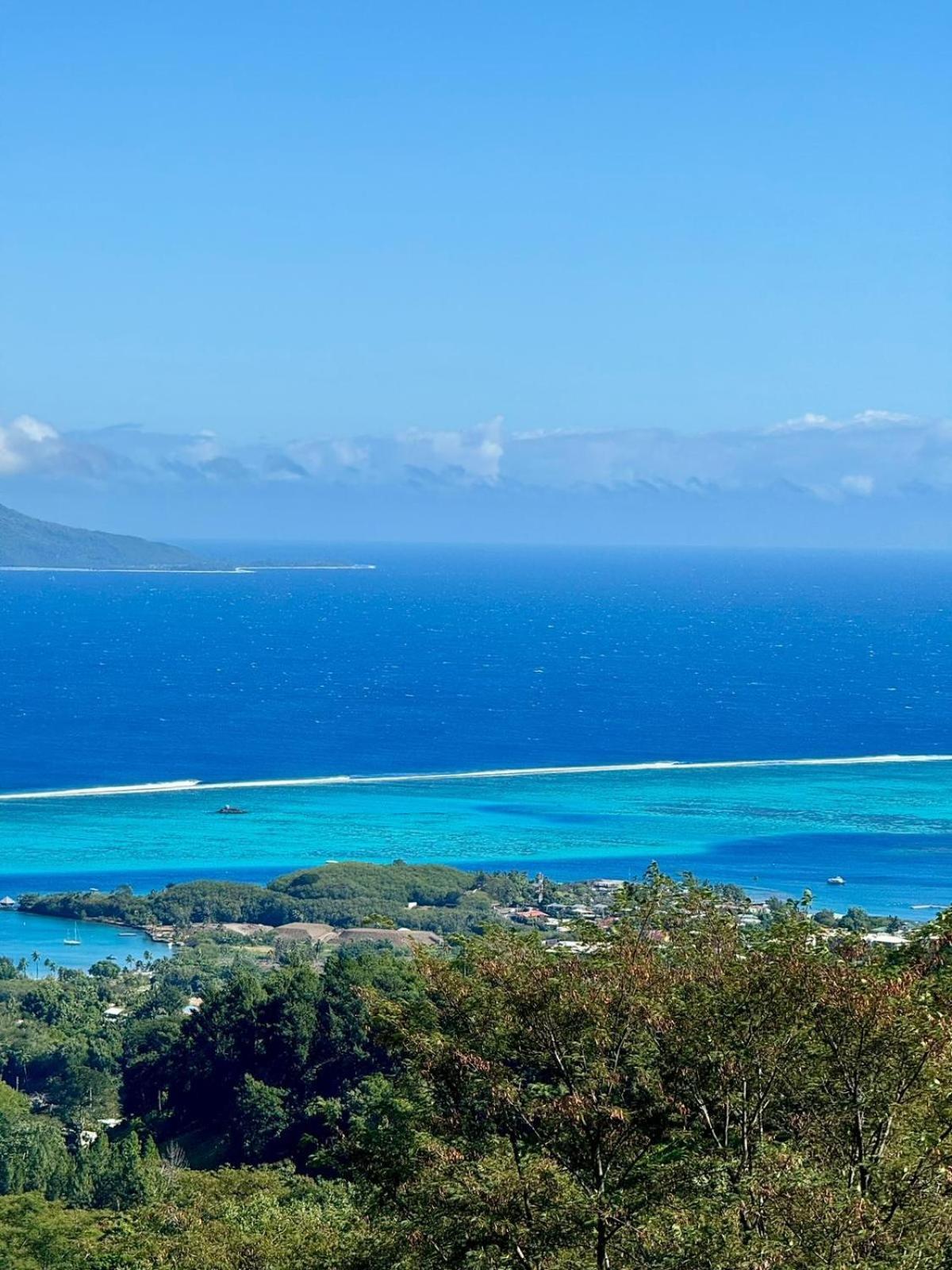 Logement Cosy Avec Piscine Et Vue Tahiti Punaauia المظهر الخارجي الصورة