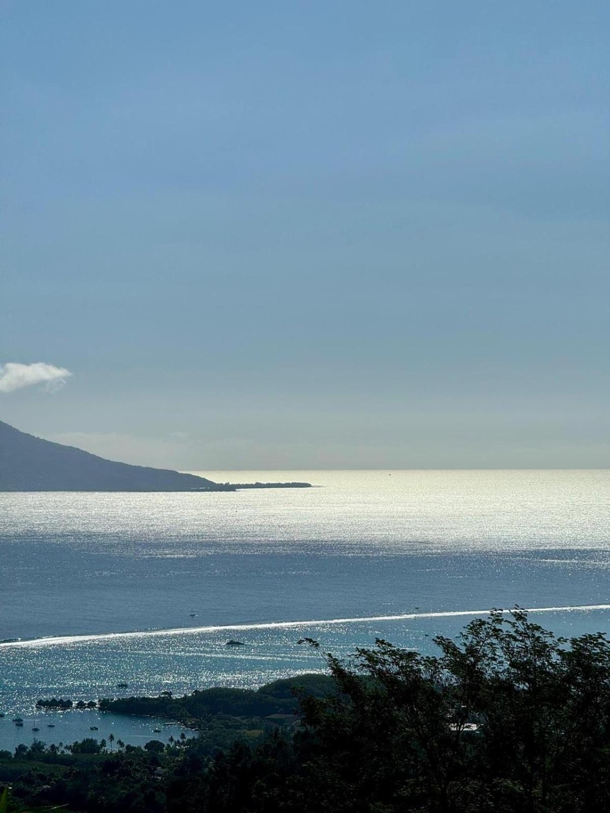 Logement Cosy Avec Piscine Et Vue Tahiti Punaauia المظهر الخارجي الصورة